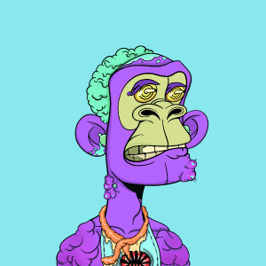 msa: 8681
