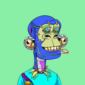 msa: 7536