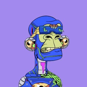 msa: 2055