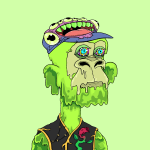 msa: 6668
