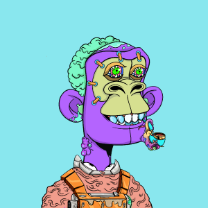 msa: 7593