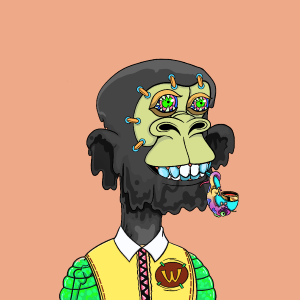 msa: 6566