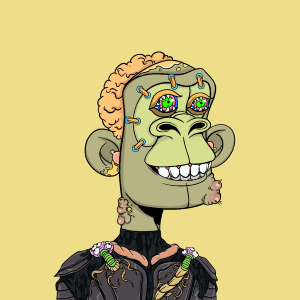 msa: 8512