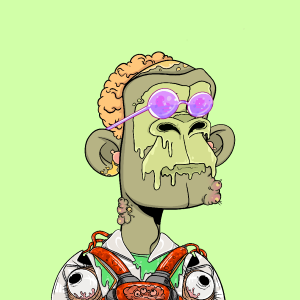 msa: 8236