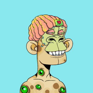 msa: 5279