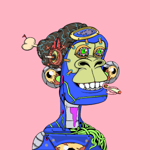 msa: 1137