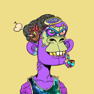 msa: 8295