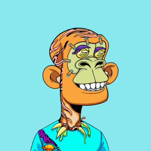 msa: 3003