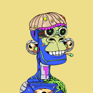 msa: 2666
