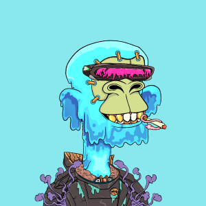 msa: 8691