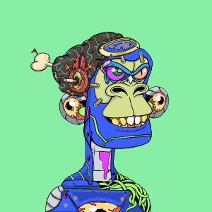 msa: 8054