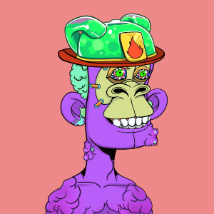msa: 8868