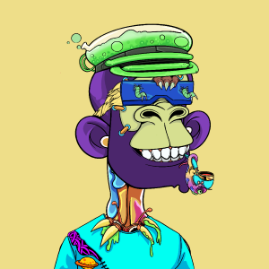 msa: 888