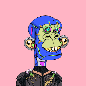 msa: 7009