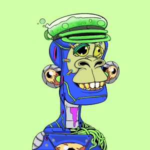 msa: 8176
