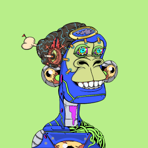 msa: 2561