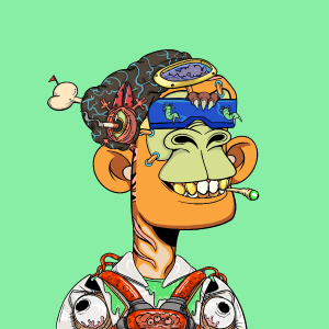 msa: 3126
