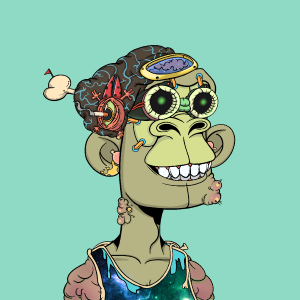 msa: 8281