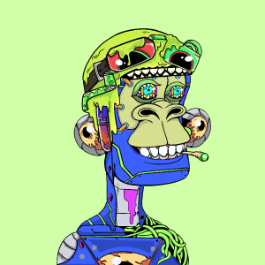 msa: 214