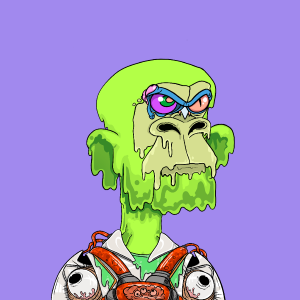msa: 2637