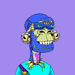 msa: 8656