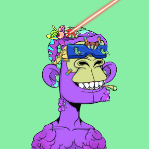 msa: 6482